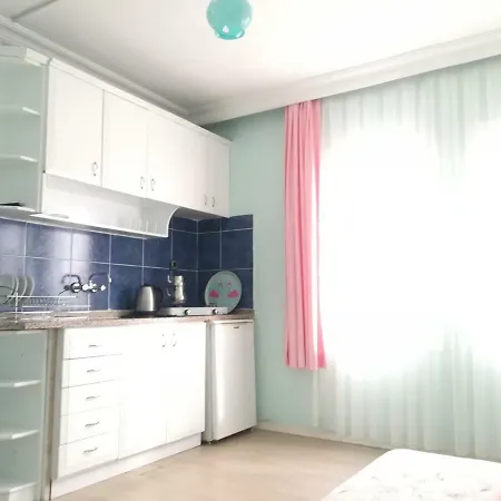 Turtle Apart Apart Otel 2*